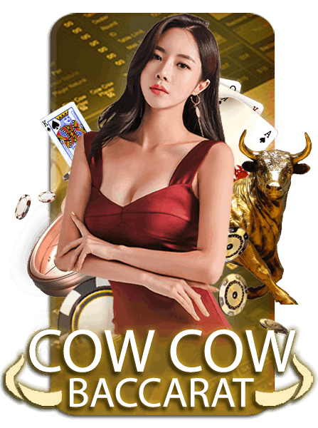 cow cow casino home